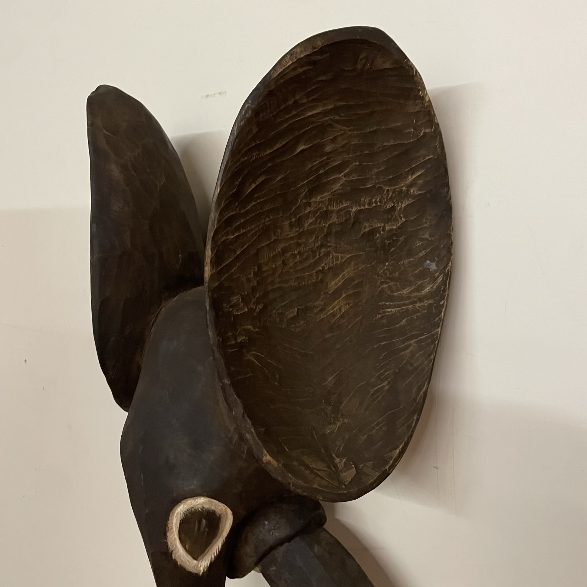 Photo Aug 18 2025, 10 33 02 AM (3)